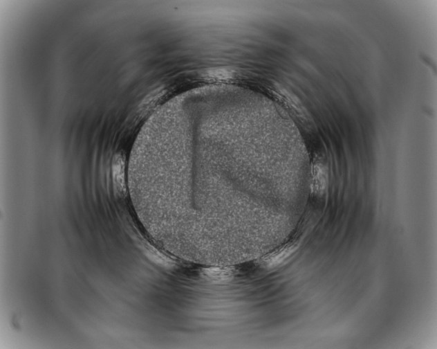 X0000096670238200803041227