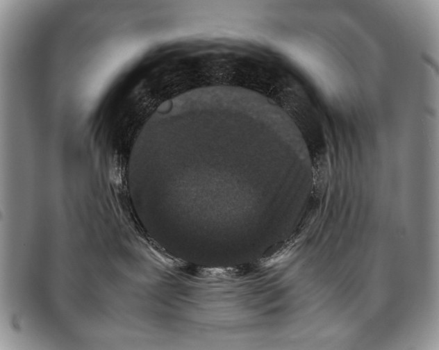 X0000096670239200803041227