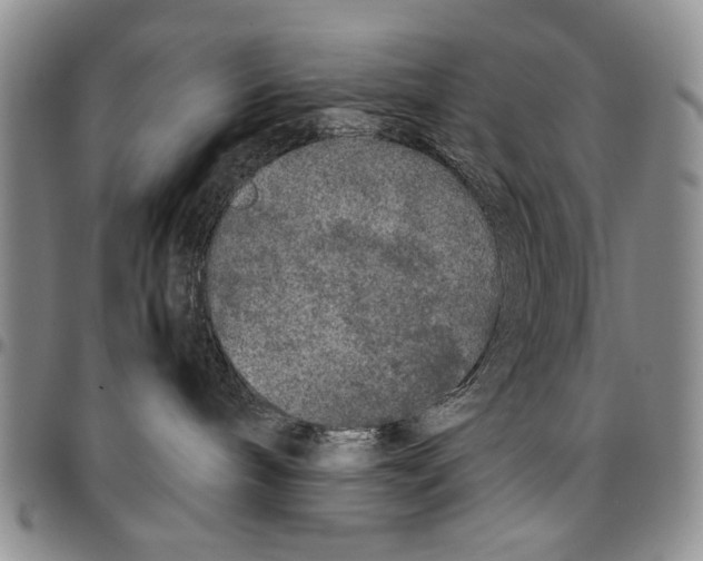 X0000096670240200803041227