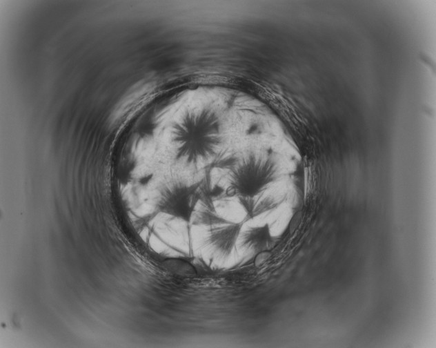 X0000096670243200803041226