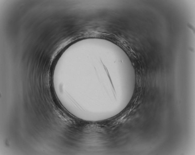 X0000096670244200803041226