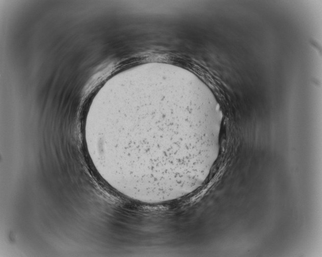 X0000096670245200803041226