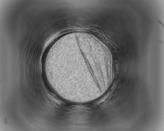 X0000096670246200803041226