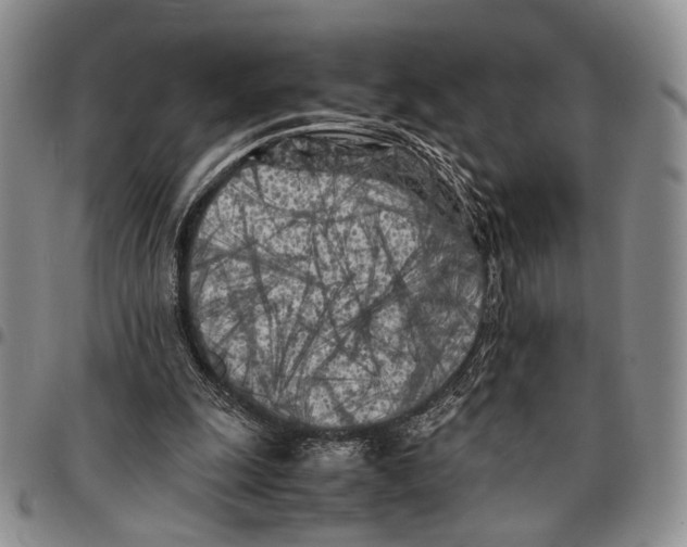X0000096670247200803041226
