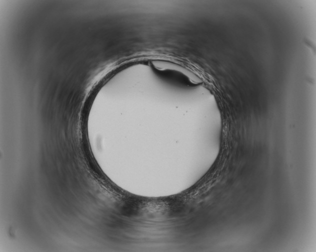 X0000096670248200803041226