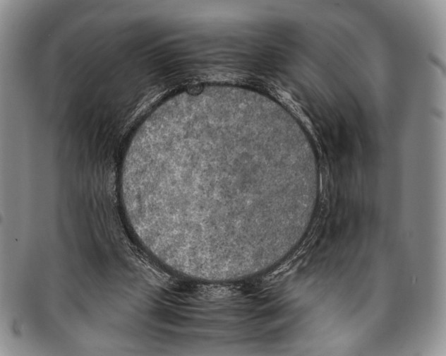 X0000096670249200803041226