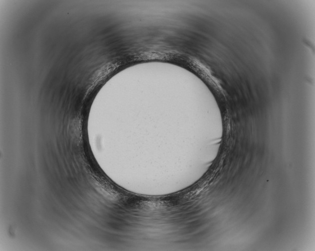 X0000096670250200803041226