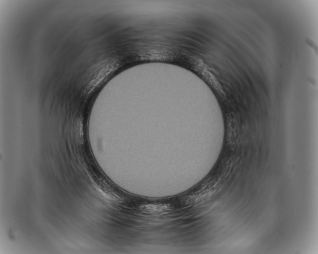X0000096670251200803041226