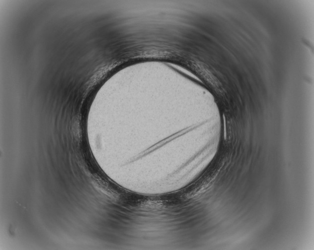 X0000096670252200803041226