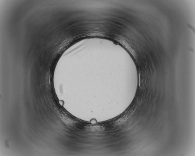 X0000096670253200803041226