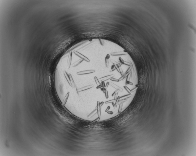X0000096670254200803041226