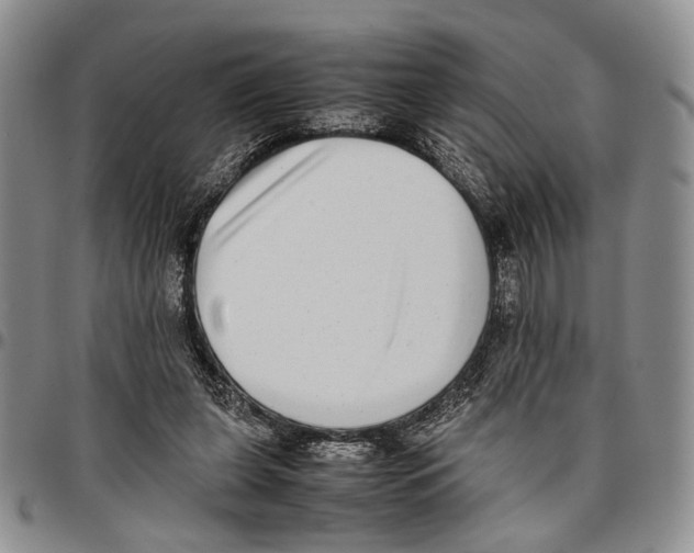 X0000096670255200803041226