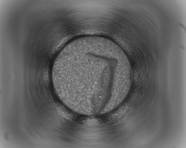 X0000096670256200803041226