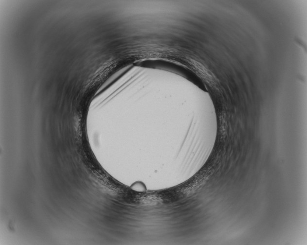 X0000096670258200803041226