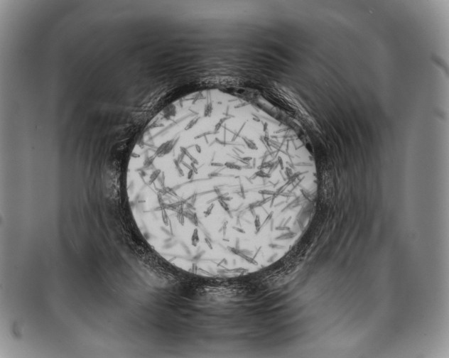 X0000096670259200803041226