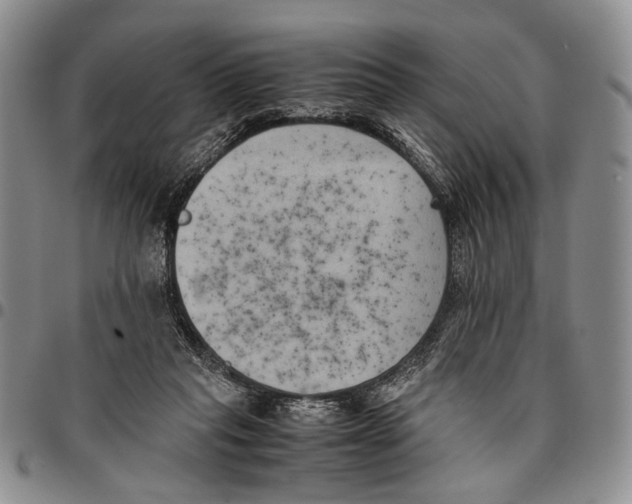 X0000096670261200803041226
