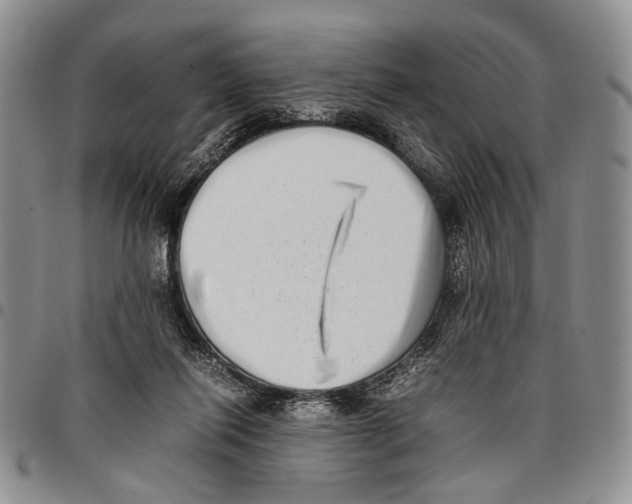 X0000096670262200803041226