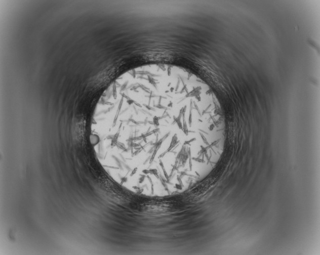 X0000096670263200803041226