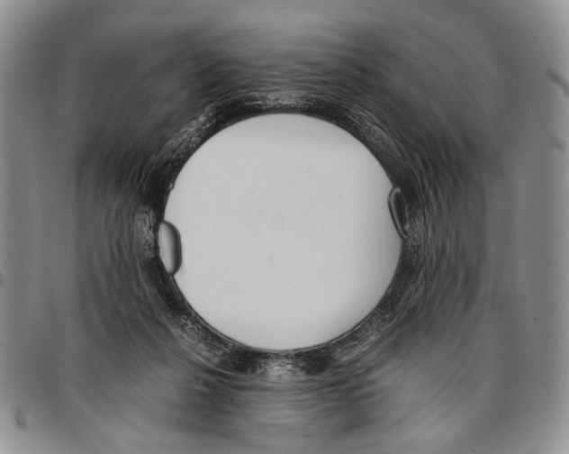 X0000096670264200803041226