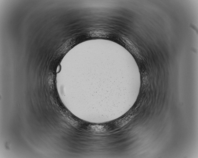 X0000096670265200803041226