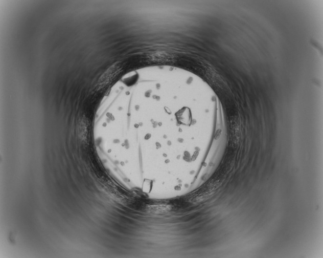 X0000096670266200803041226