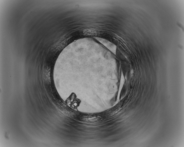 X0000096670267200803041226