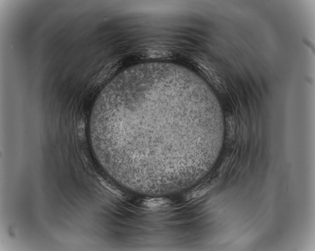 X0000096670269200803041226