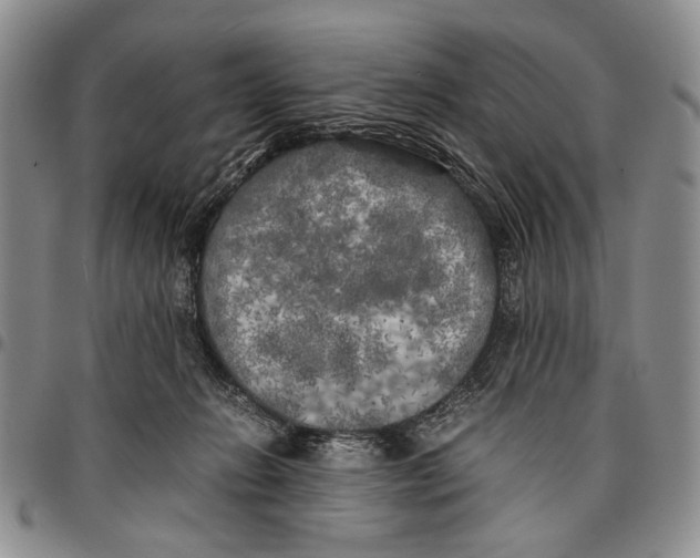 X0000096670270200803041226