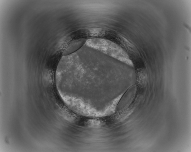 X0000096670272200803041226