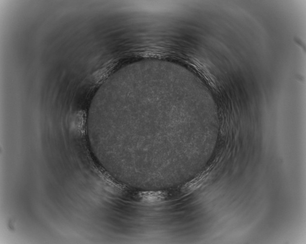 X0000096670273200803041226