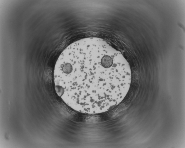 X0000096670274200803041226