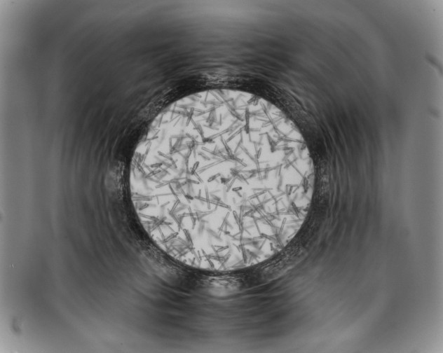 X0000096670275200803041226