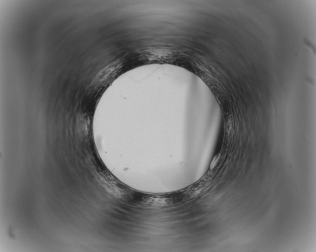 X0000096670276200803041227