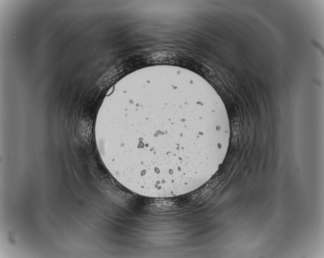 X0000096670278200803041227