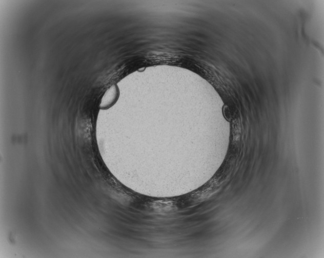 X0000096670279200803041227