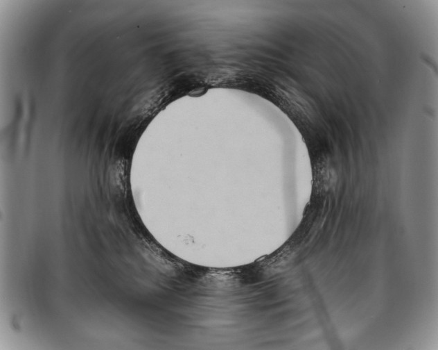 X0000096670280200803041227