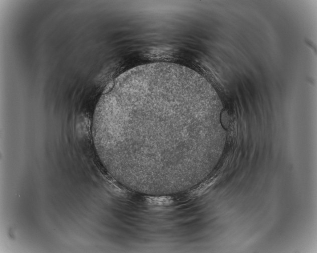 X0000096670281200803041227