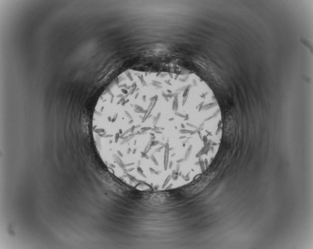 X0000096670282200803041227