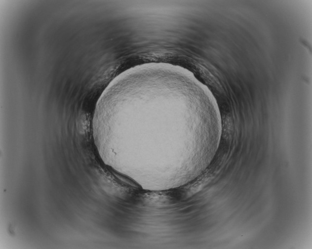 X0000096670284200803041227