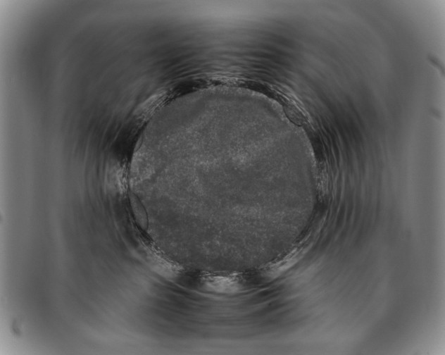 X0000096670285200803041227