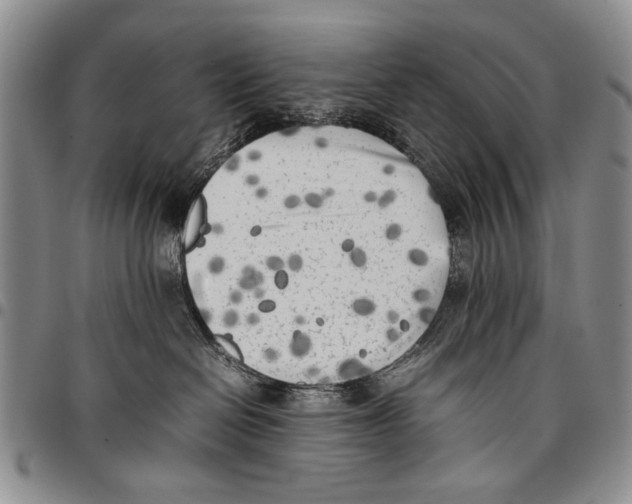 X0000096670286200803041227