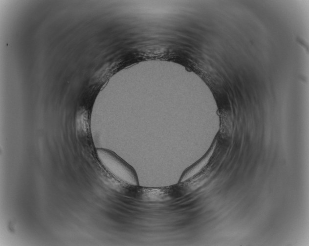 X0000096670287200803041227