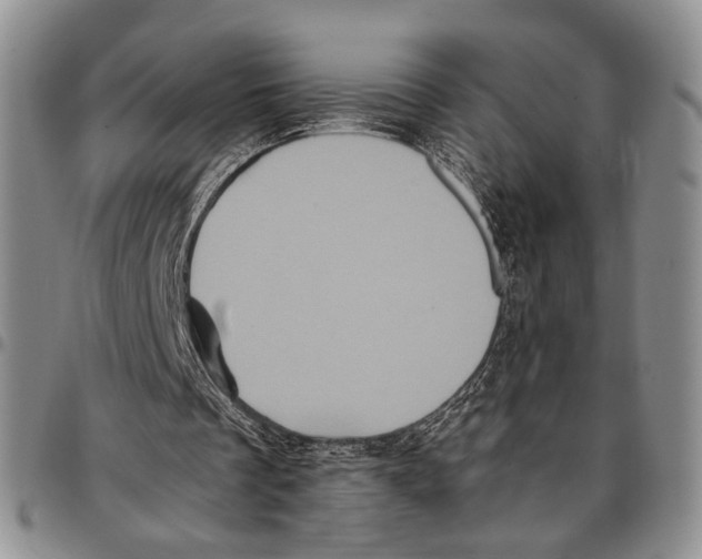 X0000096670289200803041226