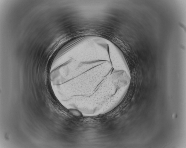 X0000096670290200803041226