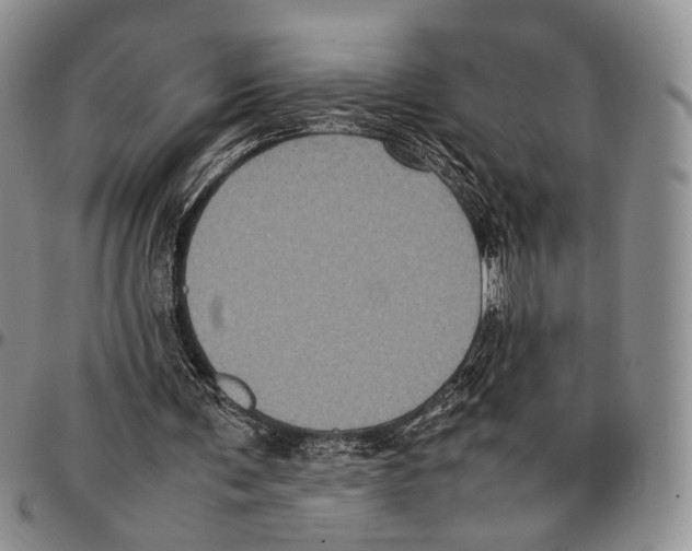 X0000096670291200803041226
