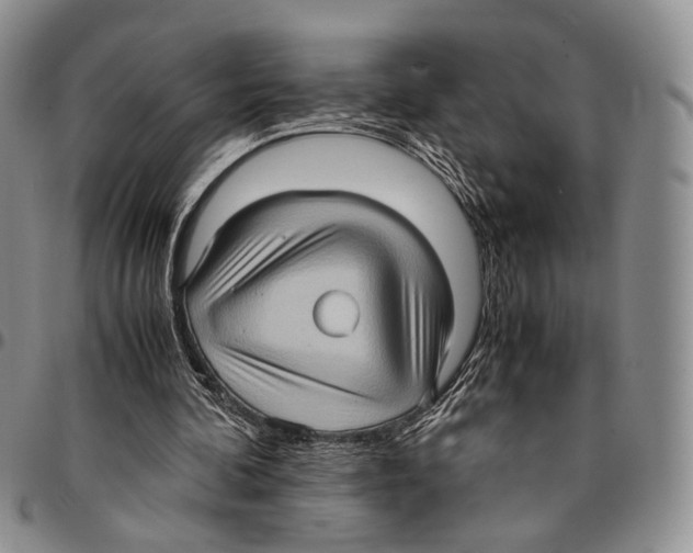 X0000096670292200803041226