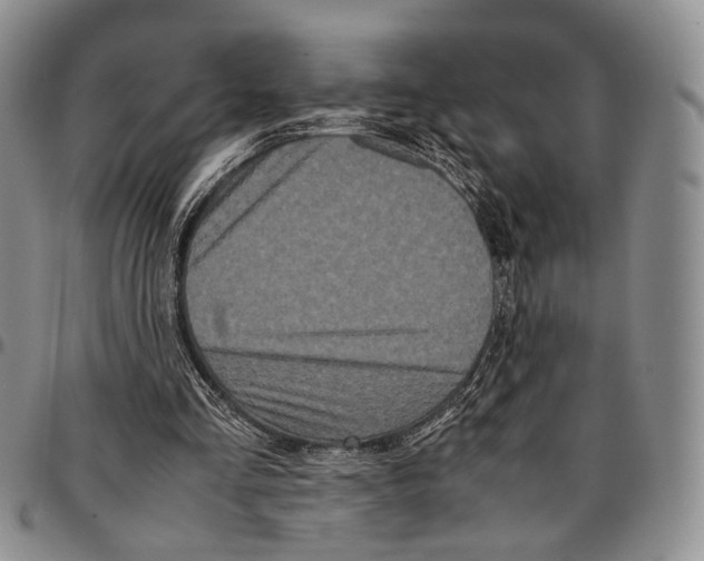 X0000096670293200803041226