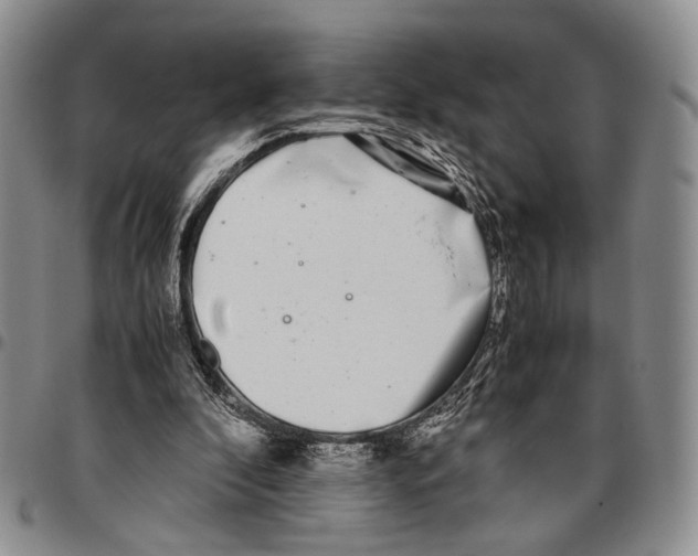 X0000096670296200803041226