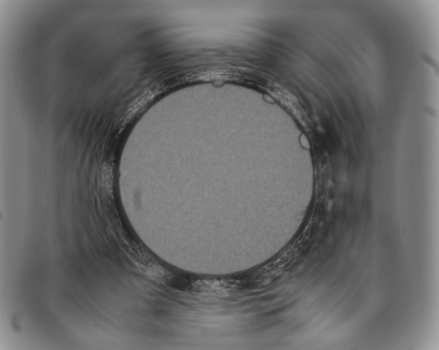 X0000096670297200803041226