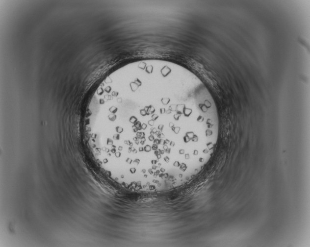 X0000096670299200803041226